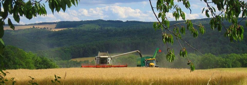 Landgut Weimar eG Unternehmen Landgut Weimar eG