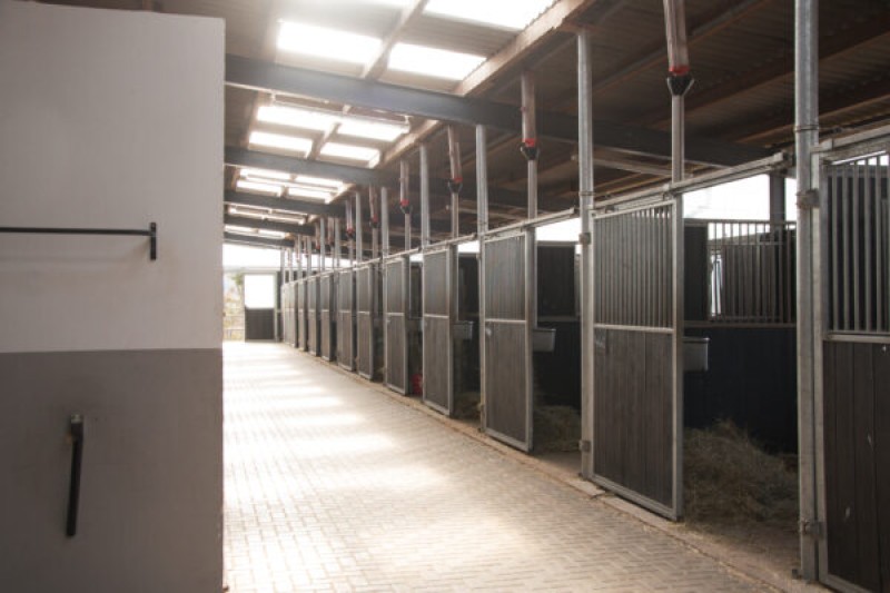 Galeriebild MAXZ6hpX0J.jpg