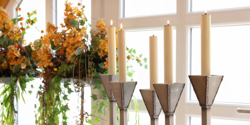 Galeriebild kSoq65aDOG.jpg