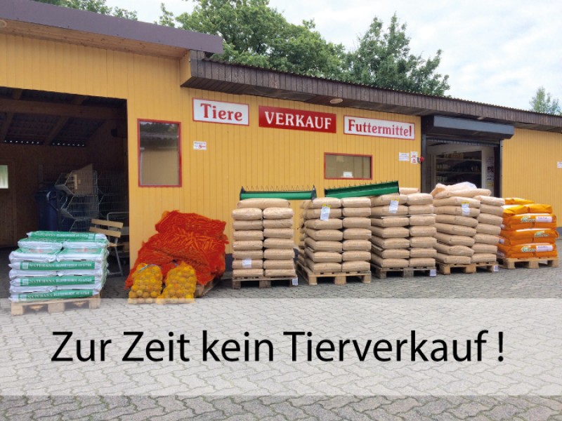 Galeriebild OTz2WITqX2.jpg