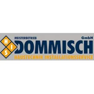 Firmenlogo von HIS Dommisch GmbH