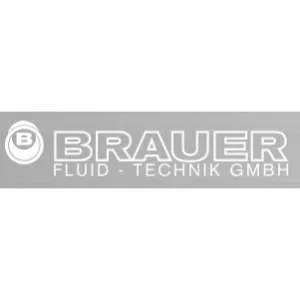 Firmenlogo von BRAUER Fluid-Technik GmbH