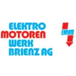 Firmenlogo von Elektromotorenwerk Brienz AG
