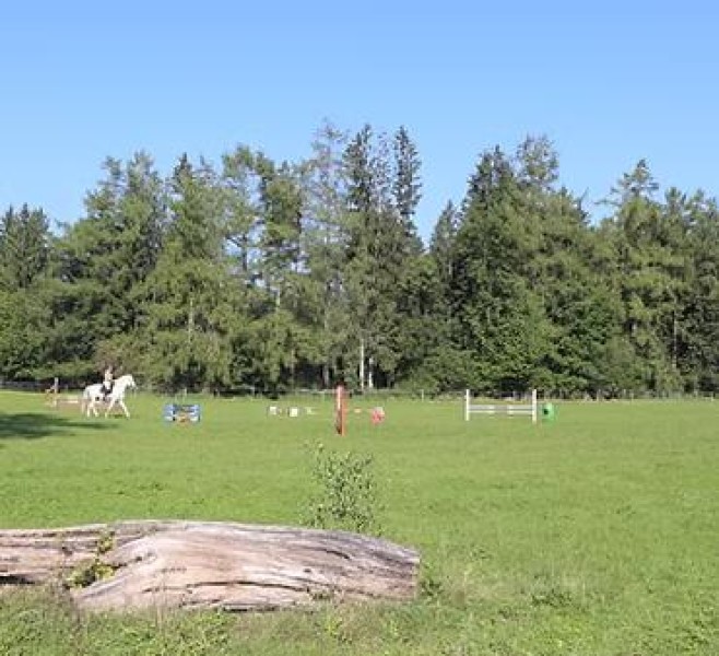 Galeriebild Jl5D6lNC1B.jpg