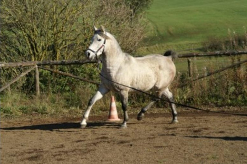 Galeriebild QtQRsAmLYp.jpg