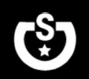 Firmenlogo von Reitanlage Stella Charlott Roth