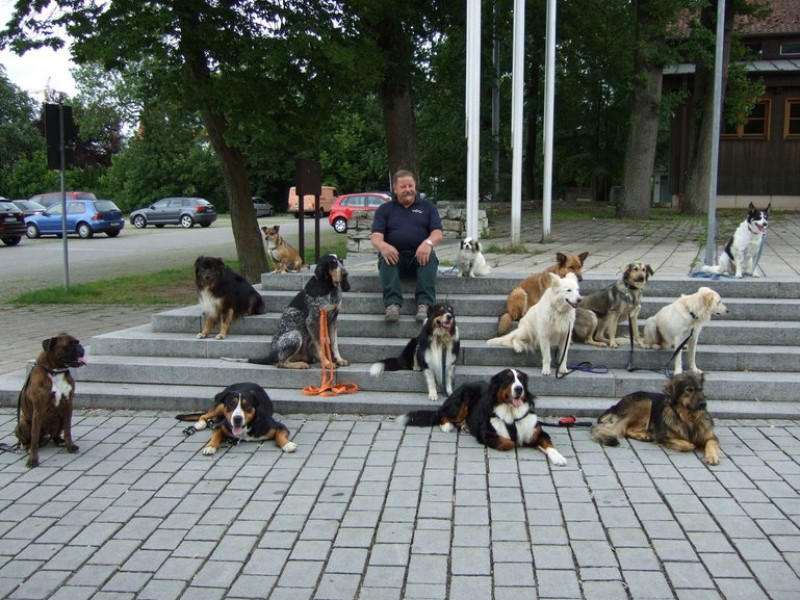 Galeriebild ja8ka3Uvr7.jpg