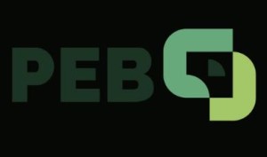 Firmenlogo von PEB Ingenieurbüro GmbH