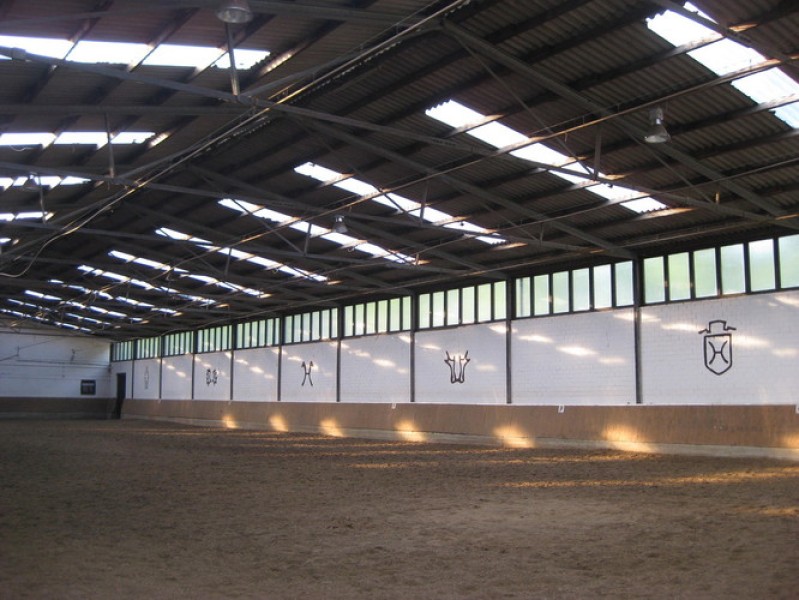Galeriebild kOQUr8wnm5.jpg