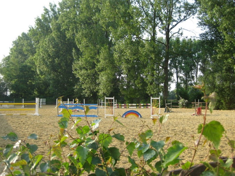 Galeriebild pgqHKHXDt3.jpg