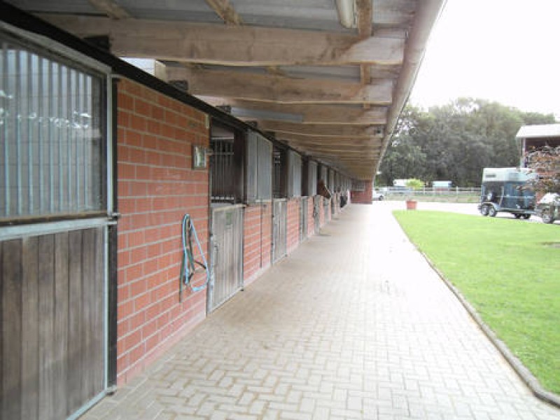 Galeriebild Sfq7SxQmaK.jpg