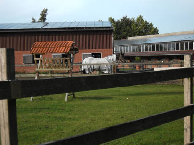 Galeriebild sOQlYtlGHV.jpg