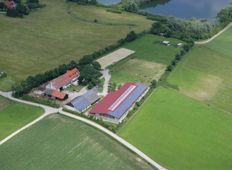 Unternehmen Islandpferdehof Bleikur