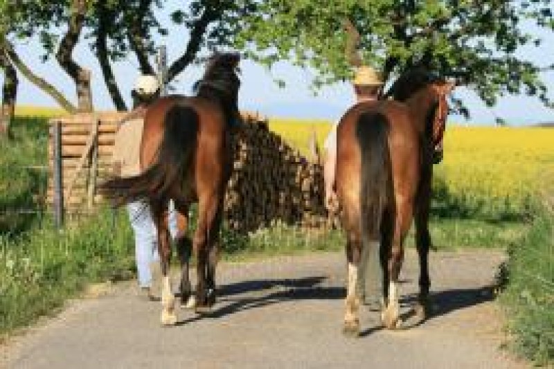 Unternehmen Freiberger Hof Strasser GbR