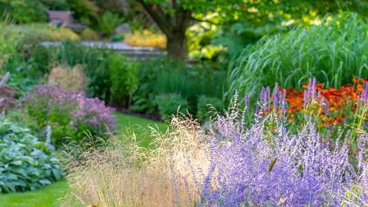 Unternehmen Garten- und Landschaftsbau GmbH & Co. KG