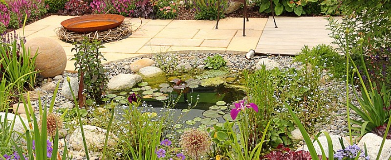 Galeriebild C5ZdPm1auV.jpg