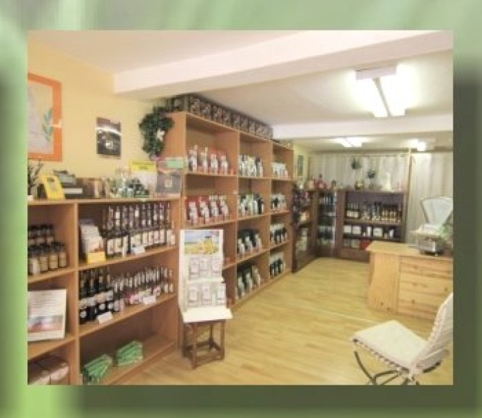 Galeriebild GDSgIN77KF.jpg