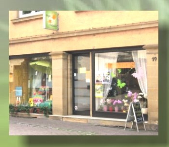 Unternehmen Birgits-Teeladen