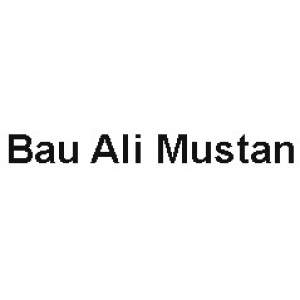 Standort in Berlin für Unternehmen Bau Ali Mustan