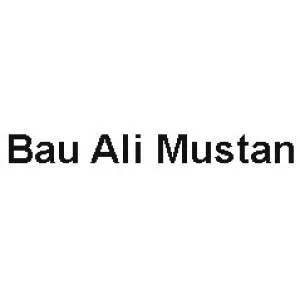 Firmenlogo von Bau Ali Mustan