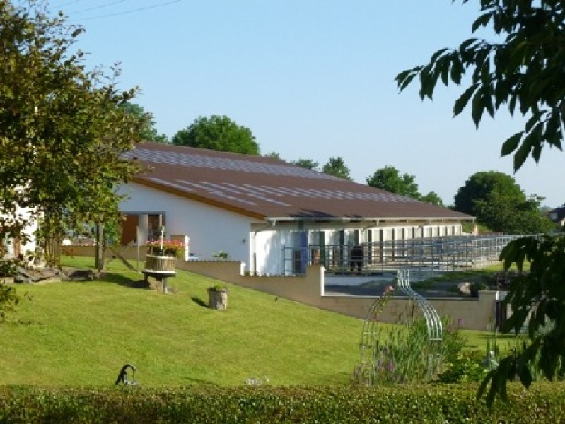 Galeriebild 4fSSHpY8wh.jpg