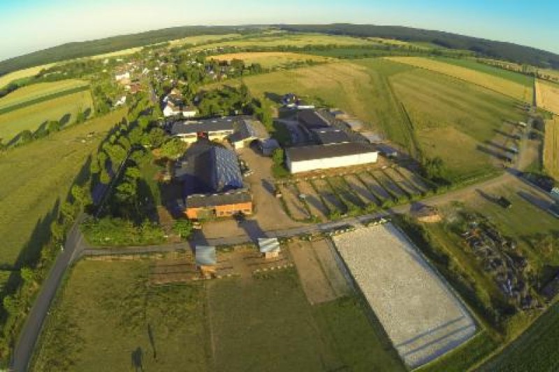 Unternehmen Reitstall Offenstall Brock