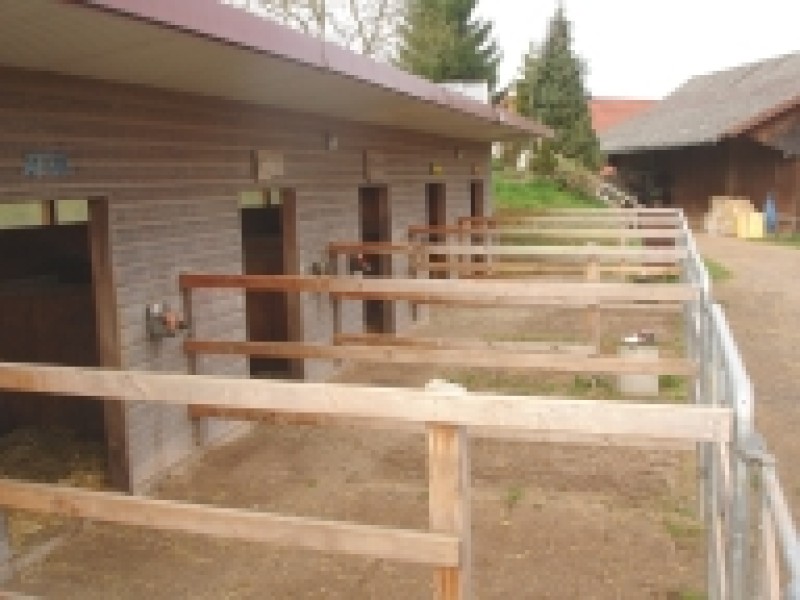 Unternehmen Kaltenhof Oberkirch - Thomas Müller