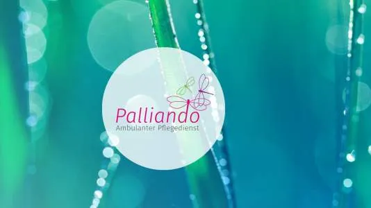 Unternehmen Palliando GmbH