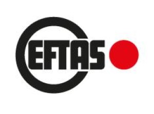 Firmenlogo von EFTAS Fernerkundung Technologietransfer GmbH