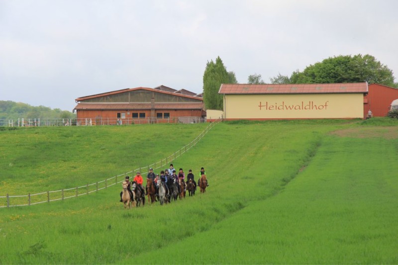 Unternehmen Reitanlage Heidwaldhof