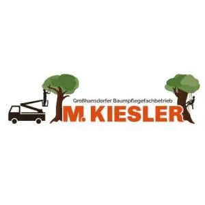 Firmenlogo von Großhansdorfer Baumpflegefachbetrieb Kiesler