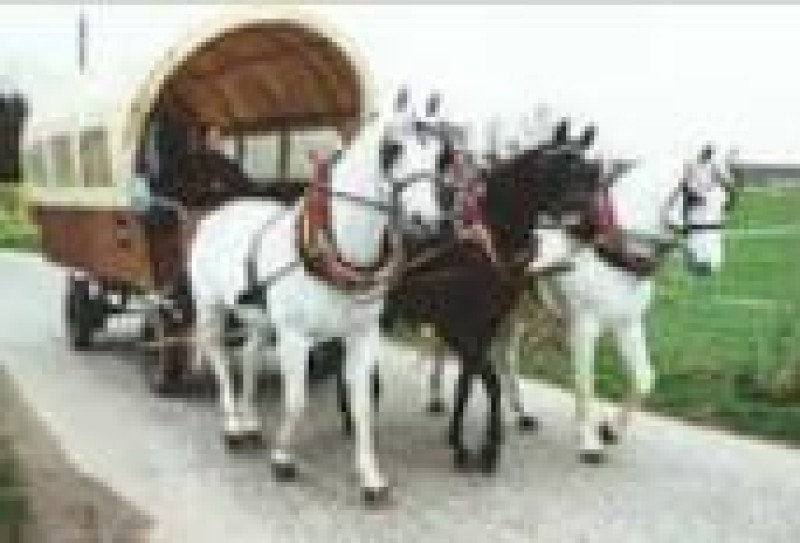 Galeriebild 4pcmB8nG9x.jpg