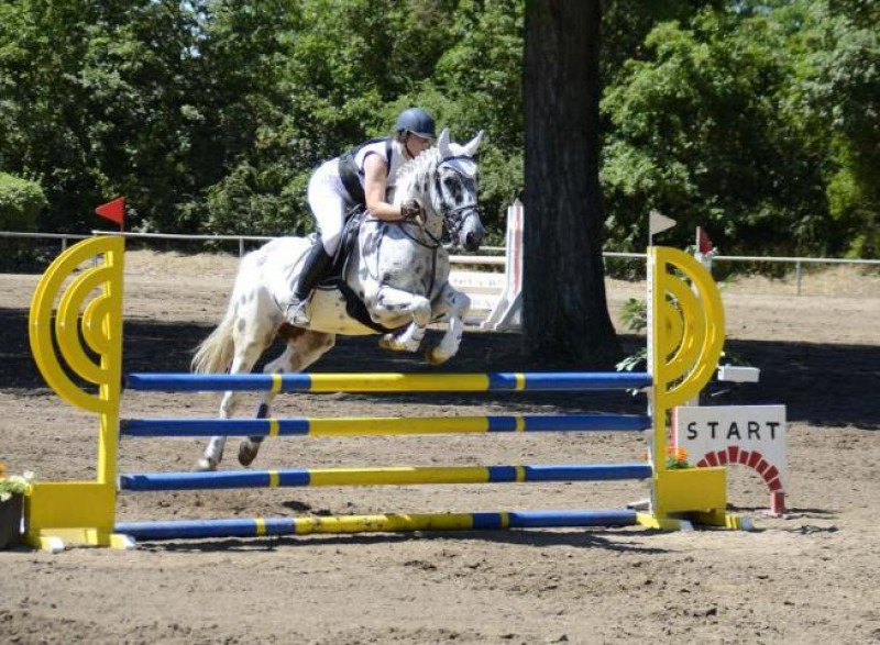 Galeriebild MF9Xc2AWVs.jpg