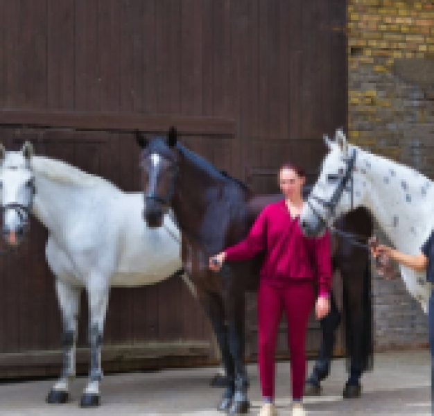 Galeriebild qgKe1seXhB.png