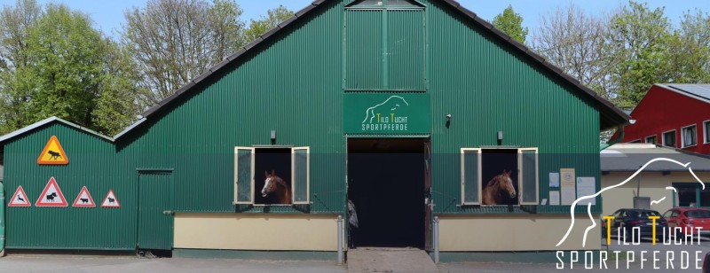 Unternehmen Tilo Tucht Sportpferde