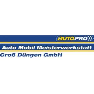 Standort in Groß - Düngen für Unternehmen AutoMobil Meisterwerkstatt Groß Düngen GmbH