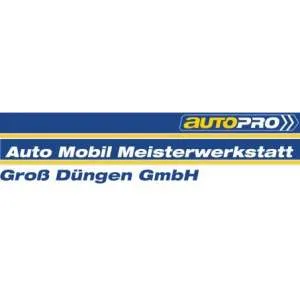 Firmenlogo von AutoMobil Meisterwerkstatt Groß Düngen GmbH
