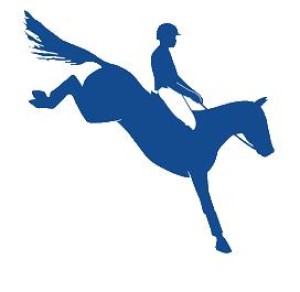 Firmenlogo von Sportpferde Seehof GmbH & Co. KG