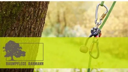 Unternehmen Baumpflege Rahmann GmbH & Co. KG