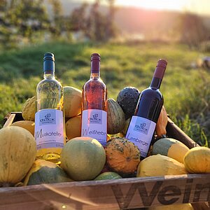 Weinbau Glock und Sohn GbR & Hochflurbesen Ingrid Glock Unternehmen Weinbau Glock und Sohn GbR & Hochflurbesen Ingrid Glock