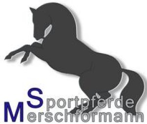 Firmenlogo von Sportpferde Merschformann GmbH & Co.KG