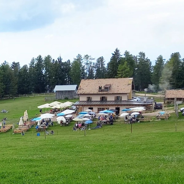 Galeriebild LsEF0pjchM.jpg