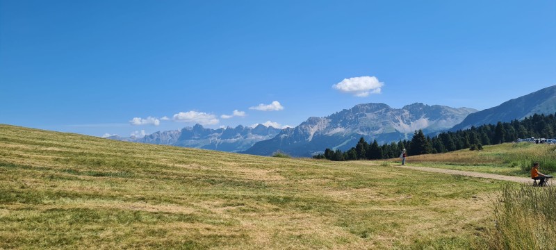 Galeriebild zFOgLbGZ1L.jpg