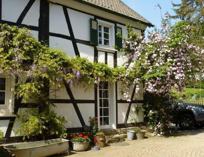 Galeriebild RHuCJDwXNX.jpg