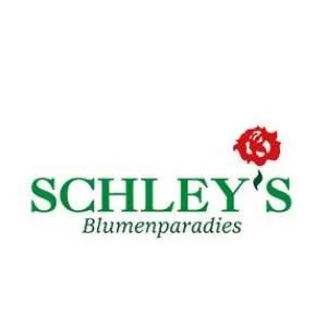Firmenlogo von Schley's Blumenparadies Gelsenkirchen GmbH & Co.KG