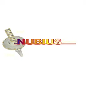 Firmenlogo von NUBIUS Group Präzisionswerkzeuge GmbH