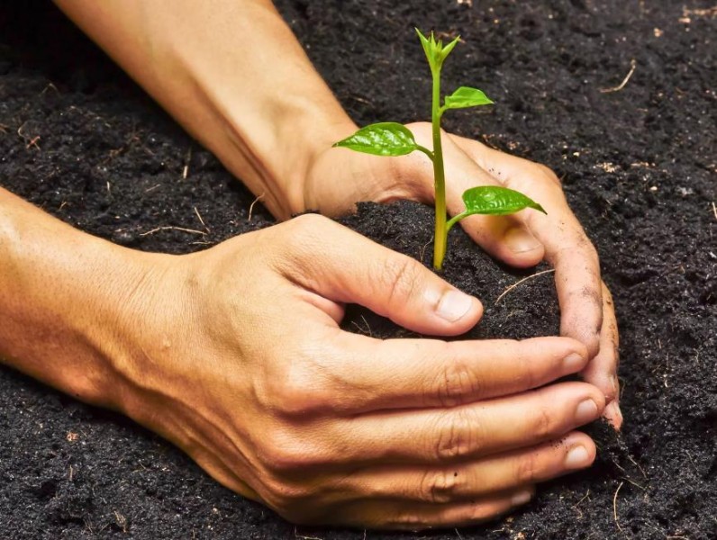 Unternehmen Brendel & Smeins Gartenservice GbR