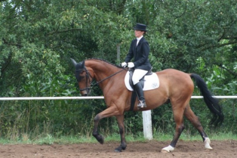 Galeriebild 6liVQwA7Q5.jpg