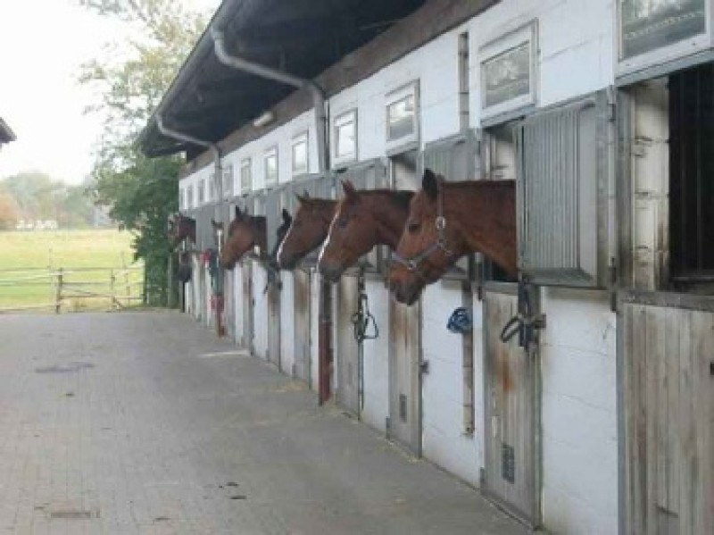 Galeriebild GTzgZNMVR1.jpg