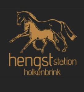 Firmenlogo von Hengststation Holkenbrink
